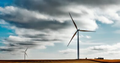 Opposition to energy transition projects driven by local concerns rather than right-wing populism, finds study
