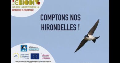 Où sont passées les Hirondelles ? avec Gaëlle Giraud de la LPO Auvergne Rhône-Alpes. - ici