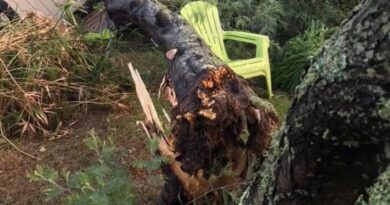 PHOTOS. Tornade, pluies abondantes, rafales à 123 km/h : les images des intempéries soudaines et leurs dégâts en Bretagne
