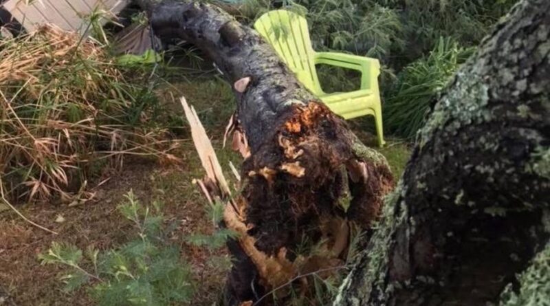 PHOTOS. Tornade, pluies abondantes, rafales à 123 km/h : les images des intempéries soudaines et leurs dégâts en Bretagne