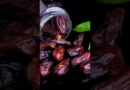 Pate de dattes : alternative saine et économique aux sucres