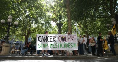 Pesticides : pourquoi l’État est condamné en appel à revoir les procédures d’autorisation
