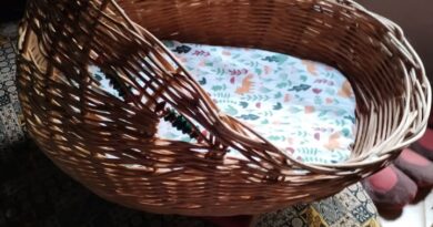 Photos from A Vita Ocanesa's post