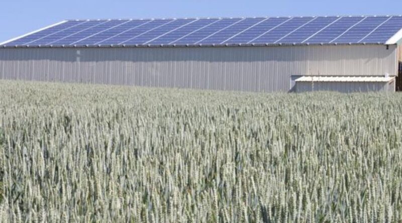Photovoltaïque : nouvelles règles pour les centrales de 100 à 500 kWc