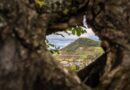 Occitanie, Toulouse, Montpellier, landscape, sea, mountain, vineyard, canal