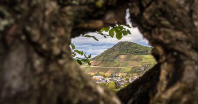 Occitanie, Toulouse, Montpellier, landscape, sea, mountain, vineyard, canal