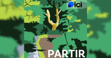 Plongez dans la forêt de Brocéliande et ses légendes avec un épisode inédit du podcast "Partir" d’ICI Armorique - ici