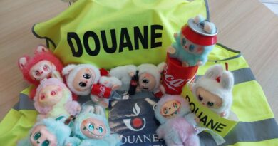 Plus de 38 500 articles de contrefaçons saisis par la Douane cet été dans le Nord et le Pas-de-Calais