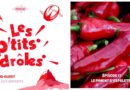 Podcast. Découvrez l’Histoire du Piment d’Espelette expliquée aux enfants