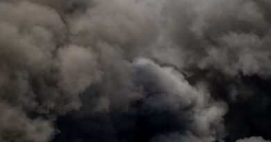 Pollution de l’air : les Français prêts à agir, mais réticents à payer…