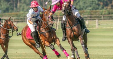Polo : l’Open de France Barnes revient à Chantilly