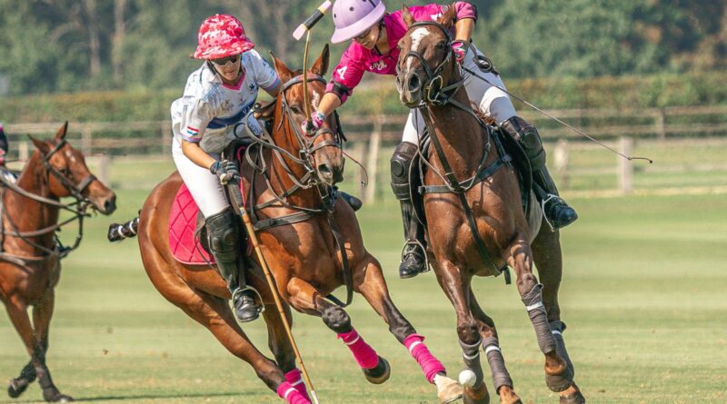 Polo : l’Open de France Barnes revient à Chantilly