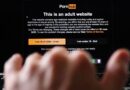 Pornographie : la France a contraint les principaux sites à barrer leur accès aux mineurs