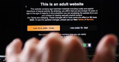 Pornographie : la France a contraint les principaux sites à barrer leur accès aux mineurs
