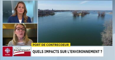 Port de Contrecœur : des opposants mécontents
