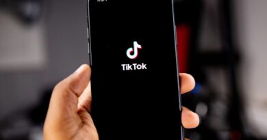 Pour sortir du « piège TikTok », une commission d'enquête réclame un « couvre-feu numérique »