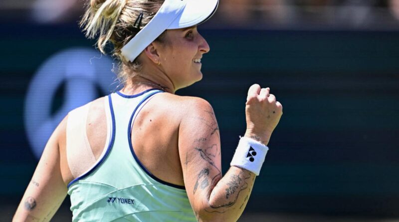 « Prends soin de toi et j’espère que tu pourras récupérer rapidement », le message de Sabalenka pour Vondrousova après son forfait