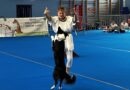 Près de Nantes, le concours de dog dancing a fait danser une trentaine de chiens et leurs maîtres