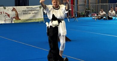 Près de Nantes, le concours de dog dancing a fait danser une trentaine de chiens et leurs maîtres