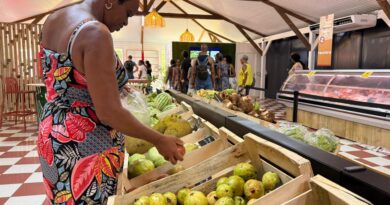 Producteurs, éleveurs et artisans de Martinique à l'honneur au Vilaj Péyi
