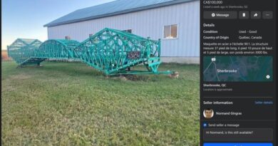 Qqn veut une maquette de 37 pieds du pont de Québec?