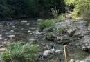 "Qualité rivière", comment fonctionne cette appli pour mieux connaître nos cours d’eau