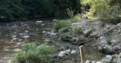 "Qualité rivière", comment fonctionne cette appli pour mieux connaître nos cours d’eau