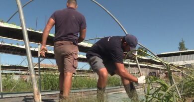 "Quand quelqu’un est à terre, on va tout de suite le relever" : des agriculteurs solidaires reconstruisent une exploitation ravagée par la tempête