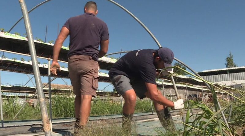 "Quand quelqu’un est à terre, on va tout de suite le relever" : des agriculteurs solidaires reconstruisent une exploitation ravagée par la tempête