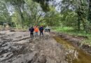 Questembert. Le ruisseau Le Logo retrouve son lit naturel - Les Infos du Pays Gallo