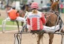 Quinté à Craon du lundi 8 septembre : les pronostics hippiques d'Hervé Fortin - ici