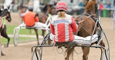 Quinté à Craon du lundi 8 septembre : les pronostics hippiques d'Hervé Fortin - ici