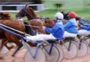 Quinté à Paris Vincennes du vendredi 12 septembre : les pronostics hippiques d'Hervé Fortin - ici