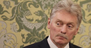 REPLAY. Guerre en Ukraine : Dmitri Peskov accuse les Européens d'"entraver" le règlement du conflit