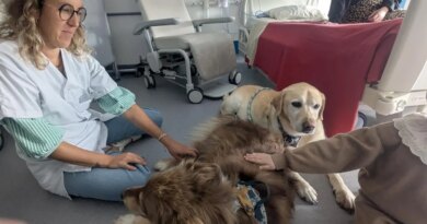 REPORTAGE. Ces chiens sont les stars de ce service du CHU, où l’on soigne les cancers de