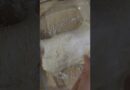 Recette de pain ciabatta  #painciabatta #pain #food #shortsviral #recettefacile #cuisine