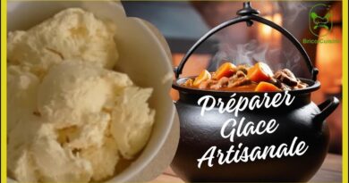 Recette glace artisanale professionnelle maison