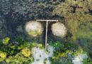 A birds-eye view of two small circular islands surrounded by marshy forest. The island on the right is more sparsely vegetated in this image.