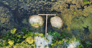 A birds-eye view of two small circular islands surrounded by marshy forest. The island on the right is more sparsely vegetated in this image.