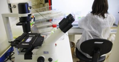 Réduire les effets secondaires des traitements contre le cancer grâce aux nanoparticules : les découvertes prometteuses de chercheurs strasbourgeois