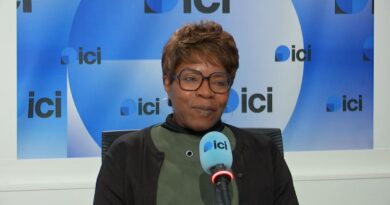 Rentrée : les poux sont de retour, il y aura "un pic après deux semaines d'école", selon une chercheuse de Tours - ici