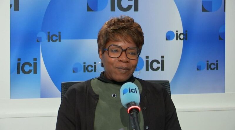 Rentrée : les poux sont de retour, il y aura "un pic après deux semaines d'école", selon une chercheuse de Tours - ici