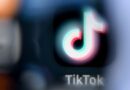 Réseaux sociaux : la commission TikTok préconise leur interdiction aux moins de 15 ans
