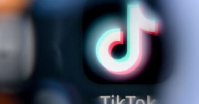 Réseaux sociaux : la commission TikTok préconise leur interdiction aux moins de 15 ans