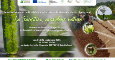 [SAVE THE DATE] évènement de réseau rural : "LA TRANSITION, GRANDEUR NATURE"