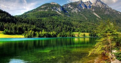 Auvergne-Rhône-Alpes, Lyon, Annecy, Alps, volcano, lake, mountain, ski, village