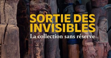 SORTIE DES INVISIBLES : La collection sans réserve - du 16 octobre au 19 avril - Strasbourg