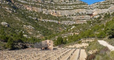 Occitanie, Toulouse, Montpellier, landscape, sea, mountain, vineyard, canal