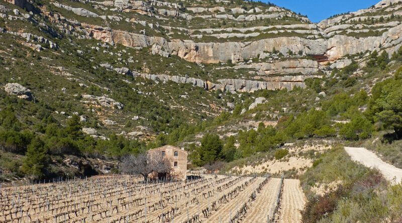 Occitanie, Toulouse, Montpellier, landscape, sea, mountain, vineyard, canal