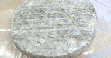 Saint Nectaire fermier Bio